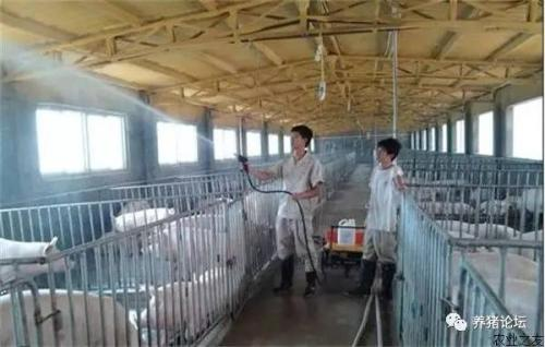 大型养殖场除臭(图1)