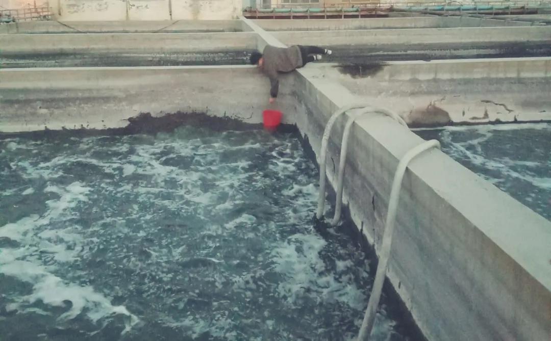 航海环保污水治理生物产品系列(十)高活性特殊复合生物净水剂(图1) 航海环保污水治理生物产品系列(十)高活性特殊复合生物净水剂(图1)