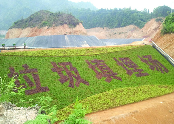 垃圾治理
