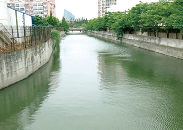 河 道 治 理