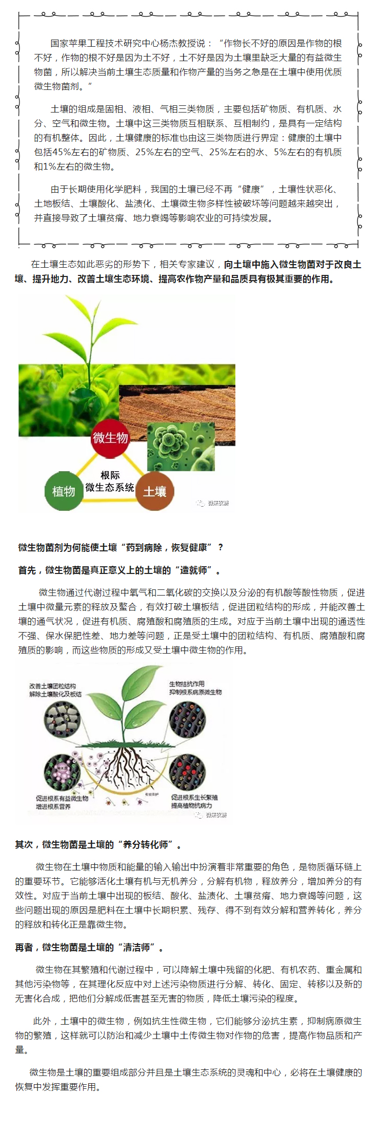 土壤环境微生物修复(图1)